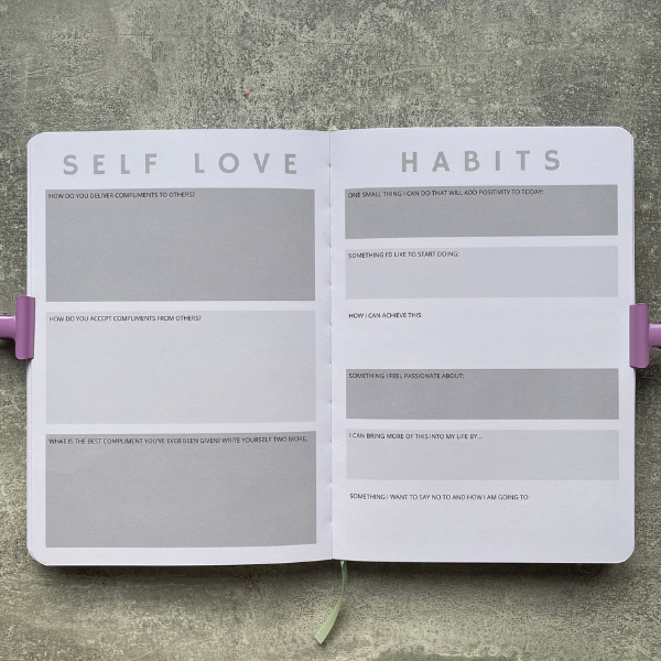 the year of you journal 2.0 - rose