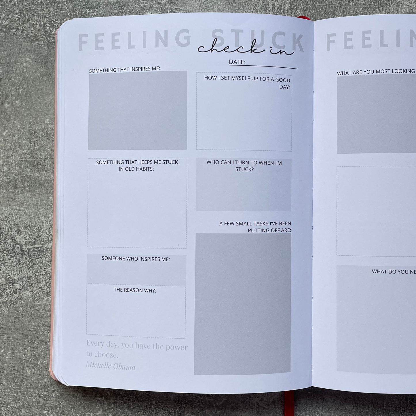 the year of you journal - blush
