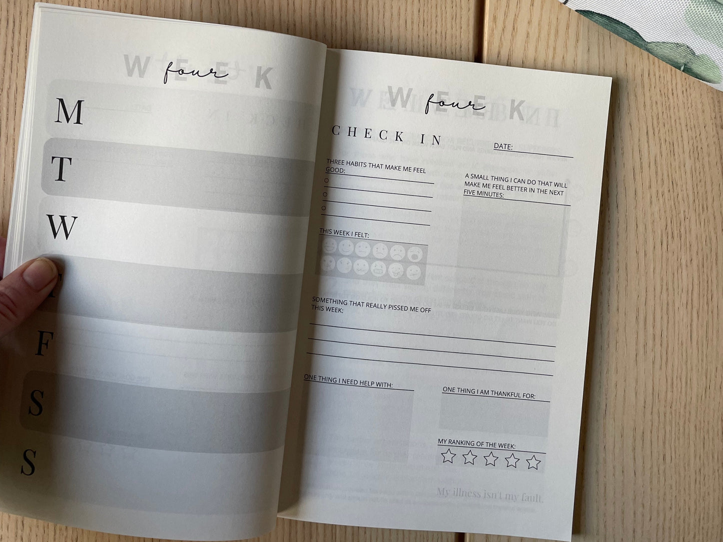 SALE the paperback chronic UTI journal - pastel