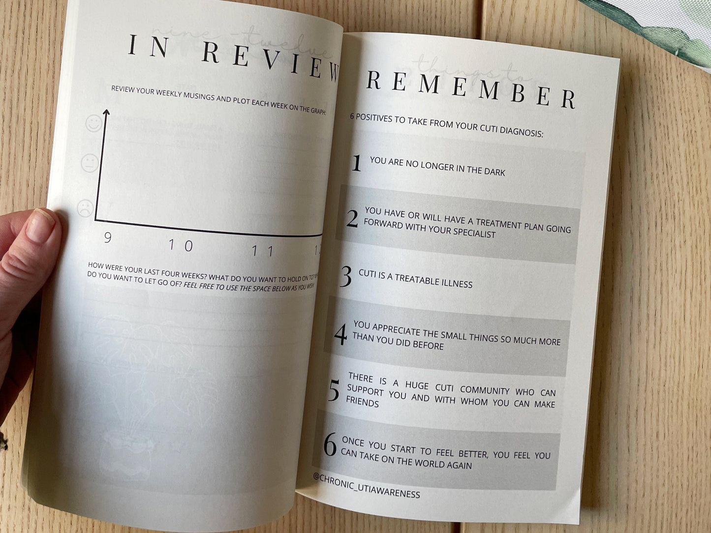 SALE the paperback chronic UTI journal - cloud