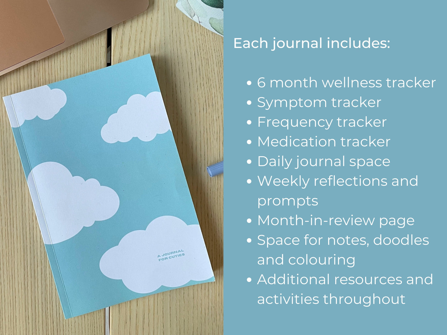 SALE the paperback chronic UTI journal - cloud