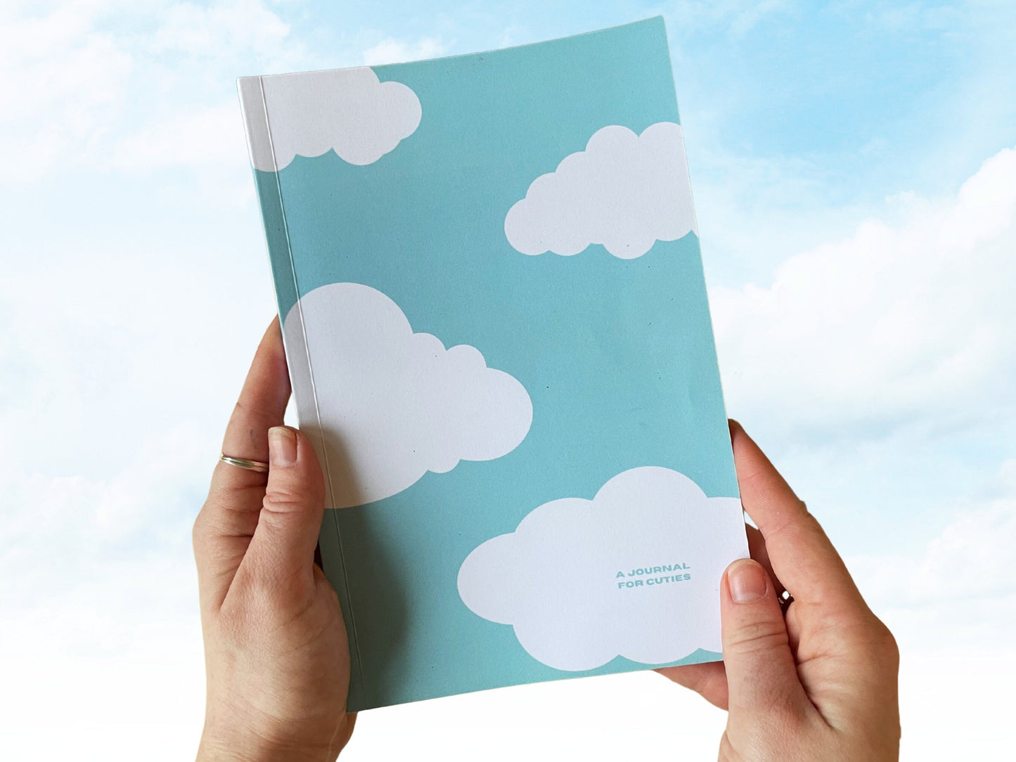 SALE the paperback chronic UTI journal - cloud