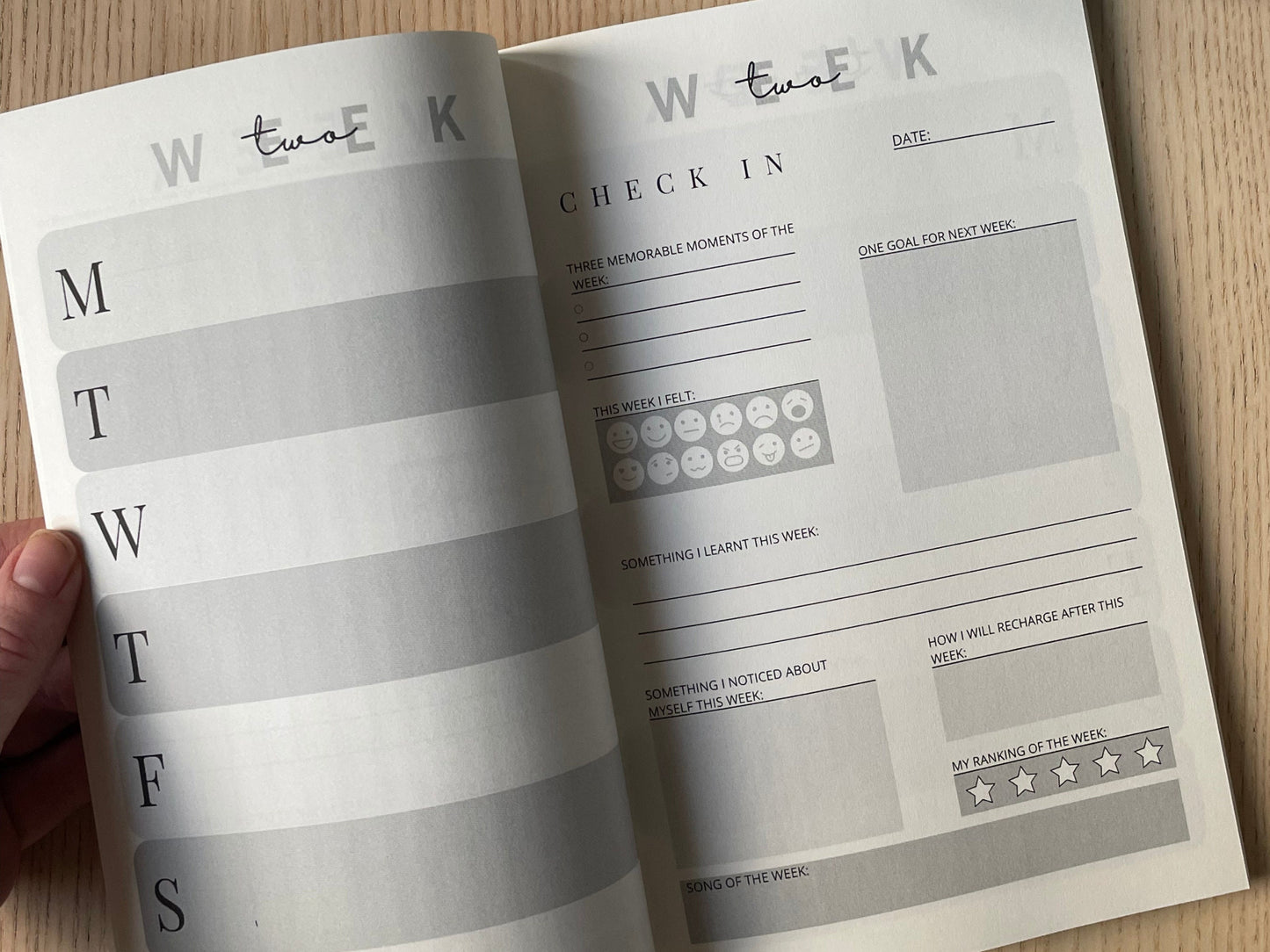 SALE the paperback creative journal - stripe