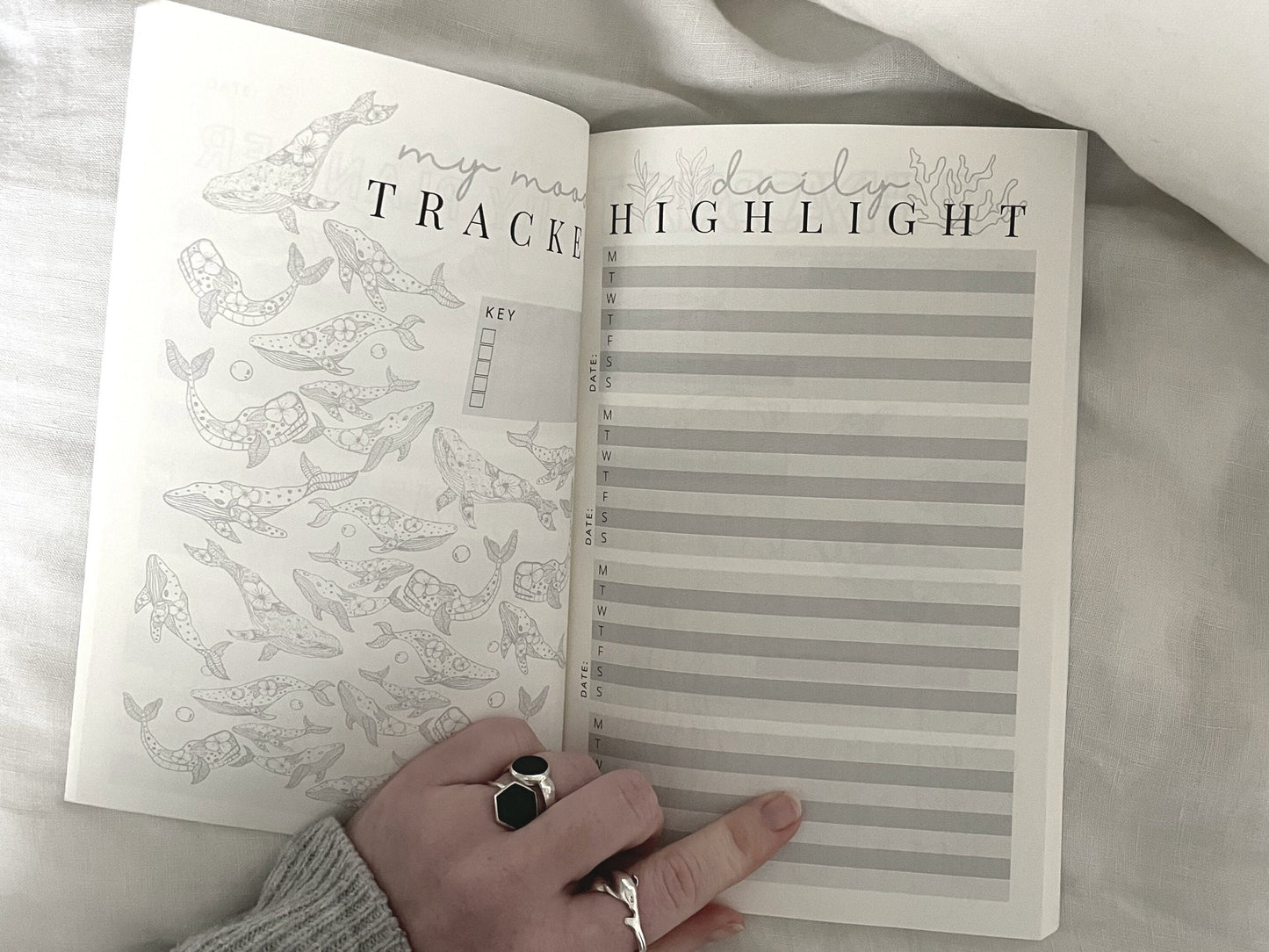 SALE the paperback creative journal - stripe